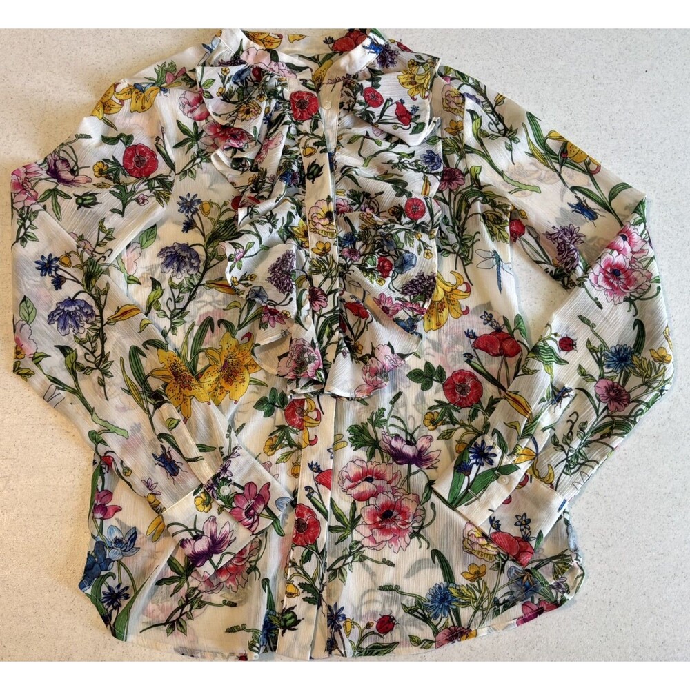 H&M Sz 2  Plumeti Botanical Floral Ruffle Prairie Semi-Sheer Button-Down Career